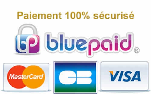Découvrez Bluepaid solution d'encaissements par cartes bancaire